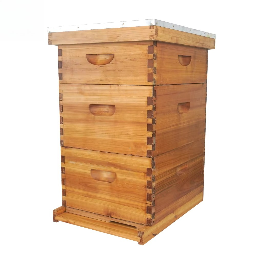 Beehive Frame Wax - Пчелиный улей Лангстрота, 3-слойный, пропитанный воском,