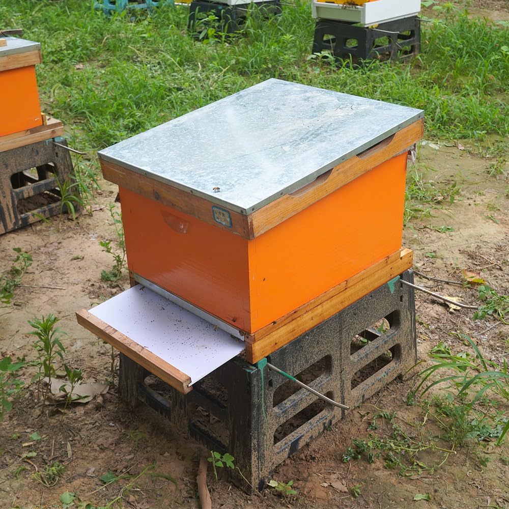 Десятирамочный улей с подвижны – обзор и цена Beehive Frame Wax
