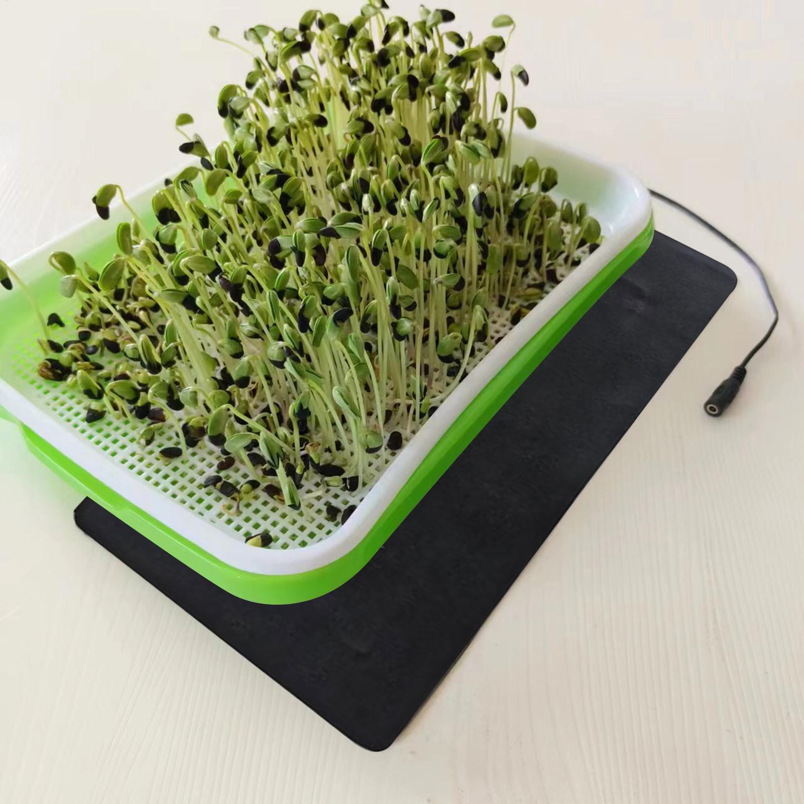 Коврик для подогрева рассады 5 – обзор и цена Seedling Heat Mat